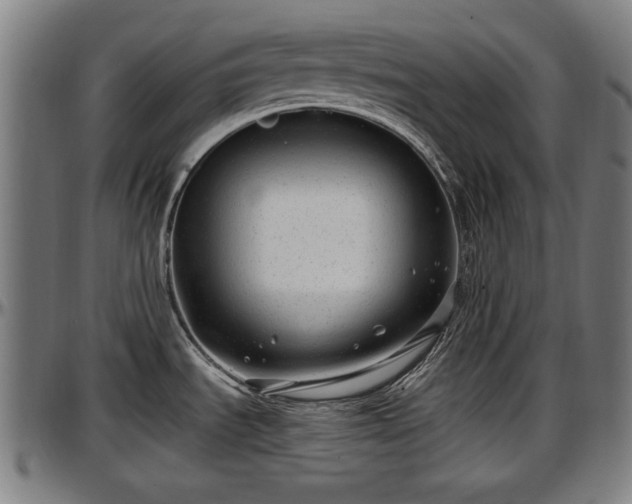 X0000097471535200802291258
