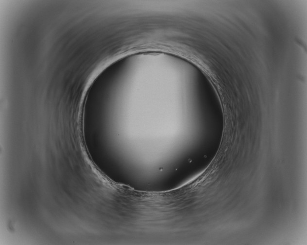 X0000097471536200802291258