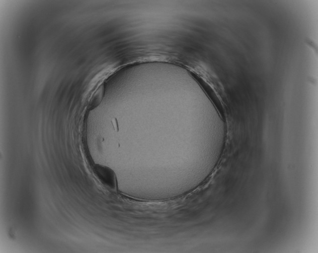 X0000097470001200803071704