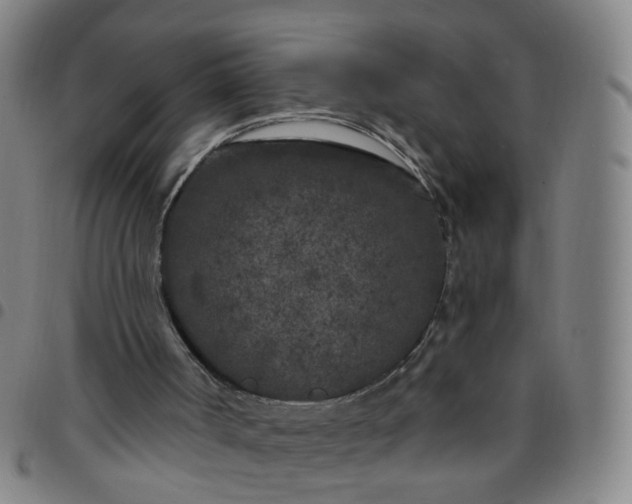 X0000097470002200803071704
