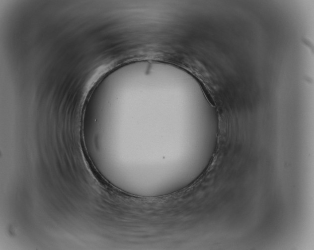 X0000097470003200803071704
