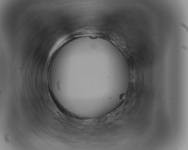 X0000097470004200803071704