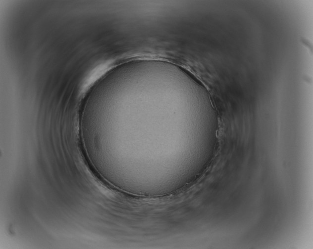 X0000097470005200803071704