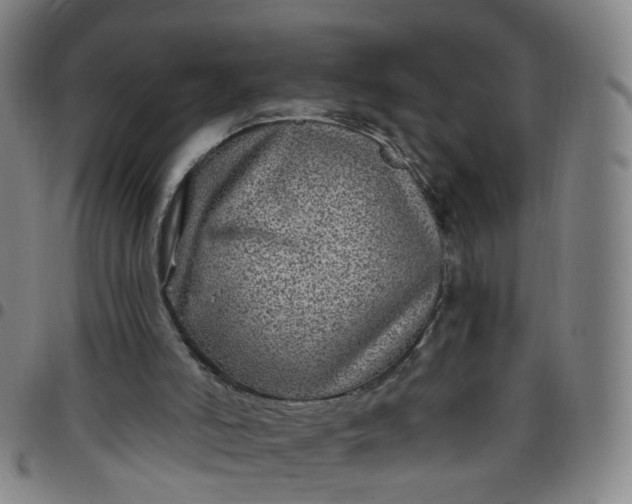 X0000097470006200803071704