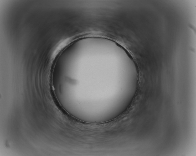 X0000097470007200803071704