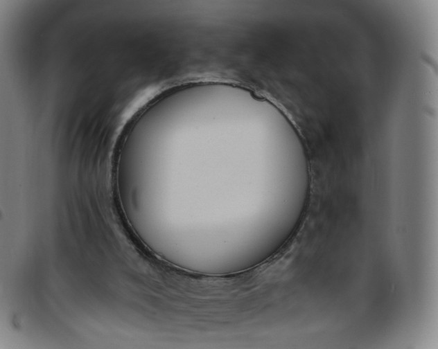 X0000097470008200803071704