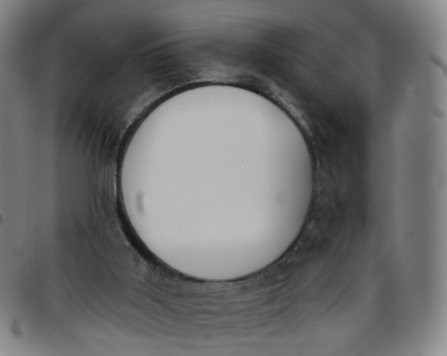 X0000097470011200803071704