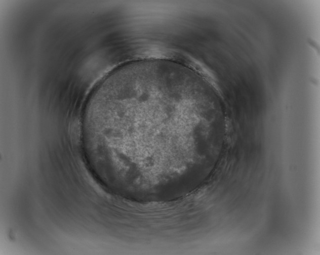 X0000097470012200803071704