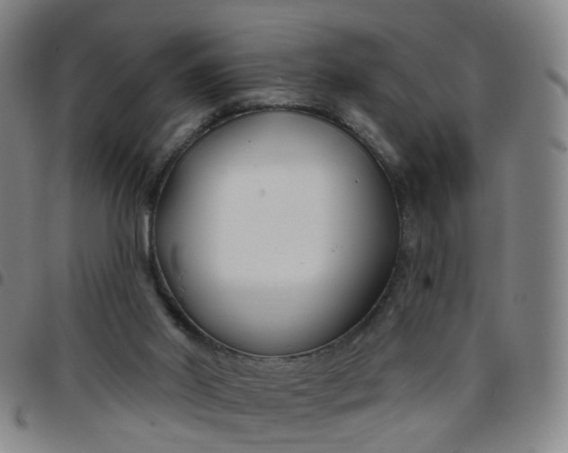 X0000097470014200803071704