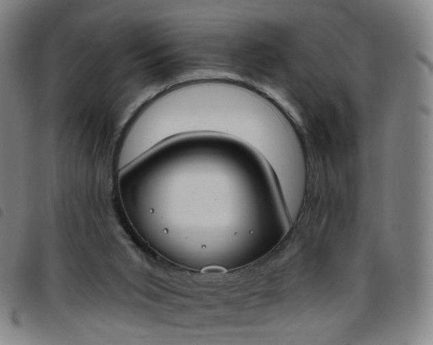 X0000097470015200803071704