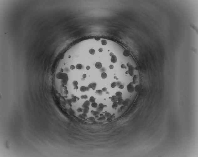 X0000097470016200803071704
