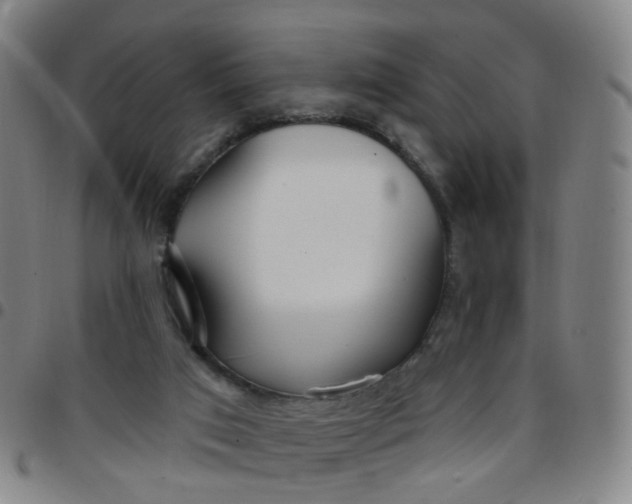 X0000097470017200803071704