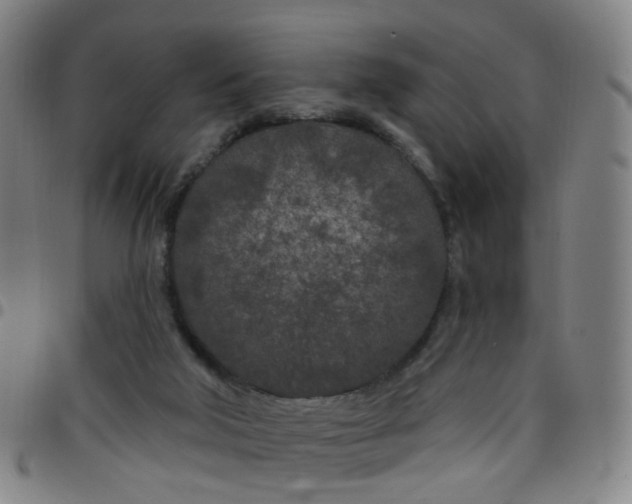 X0000097470018200803071704