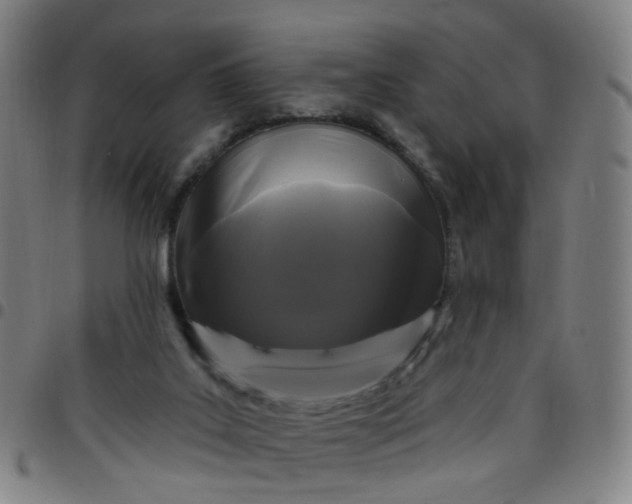 X0000097470019200803071704