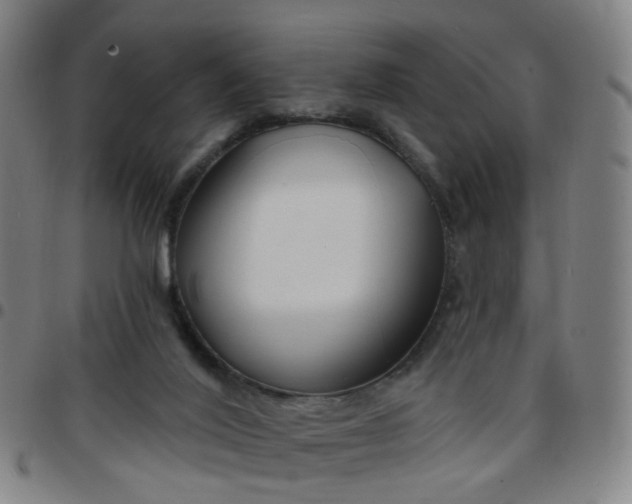 X0000097470020200803071704