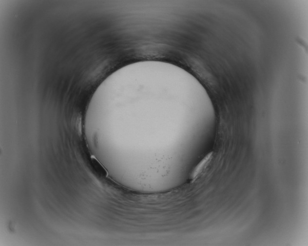 X0000097470021200803071704