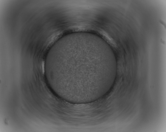 X0000097470022200803071704