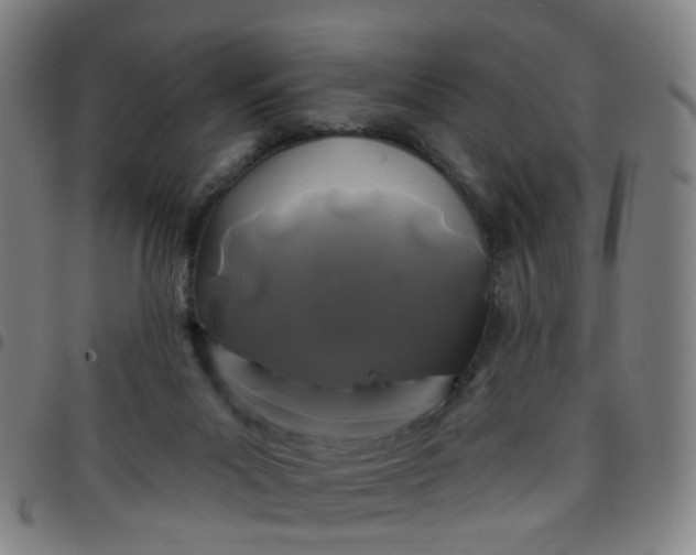 X0000097470023200803071704