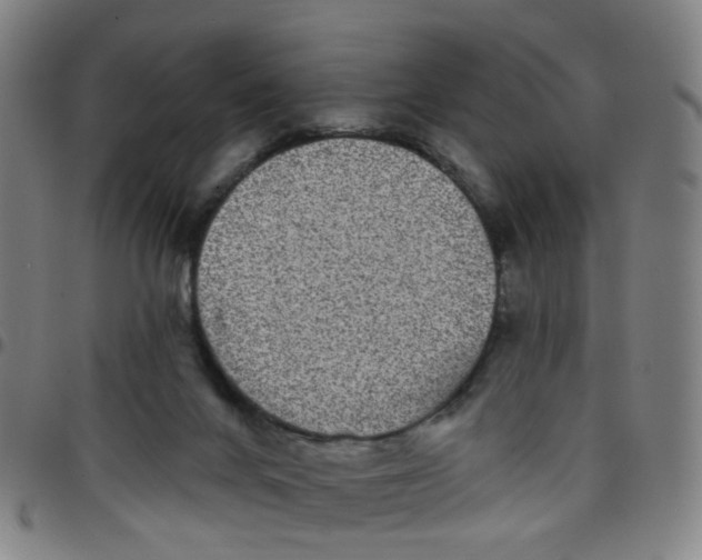 X0000097470024200803071704