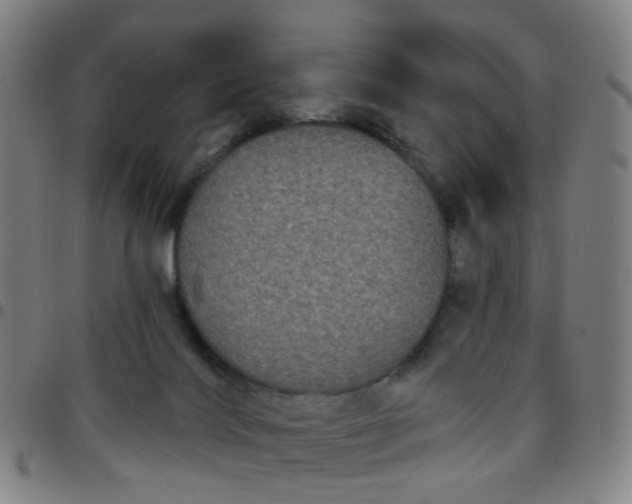 X0000097470028200803071704