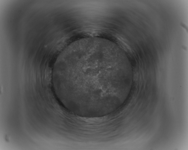 X0000097470030200803071704