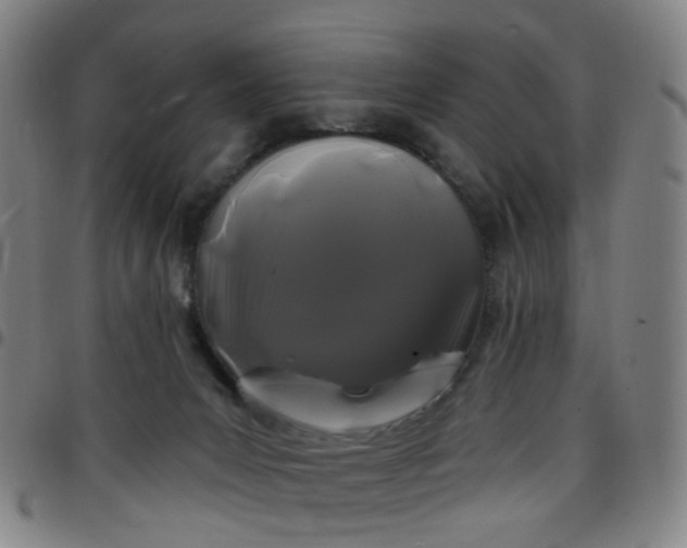 X0000097470031200803071704