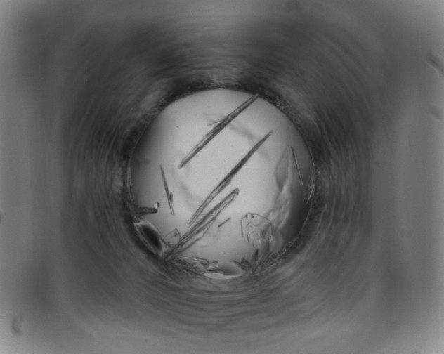 X0000097470032200803071704