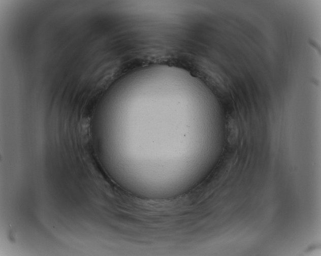 X0000097470034200803071704