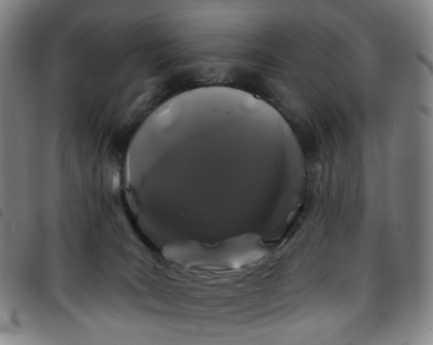 X0000097470035200803071704