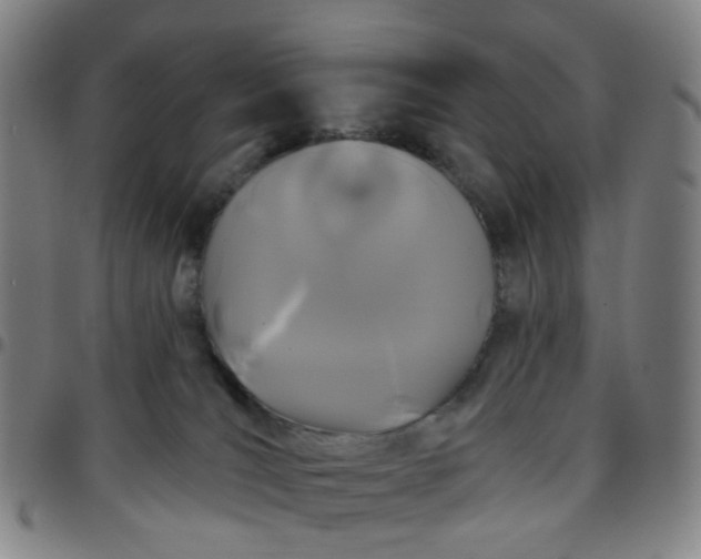 X0000097470036200803071704