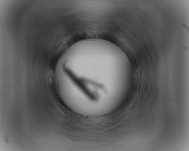 X0000097470038200803071703