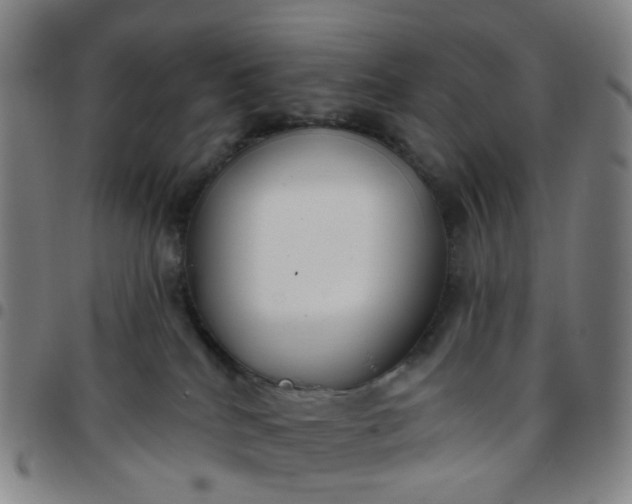 X0000097470040200803071703