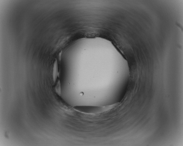 X0000097470041200803071703