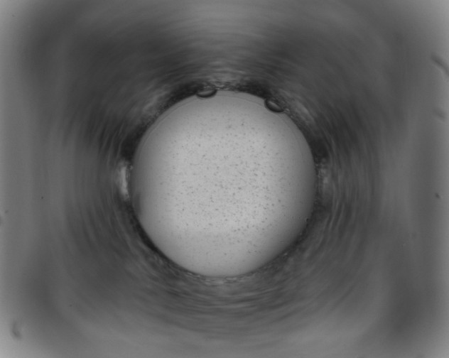 X0000097470042200803071703