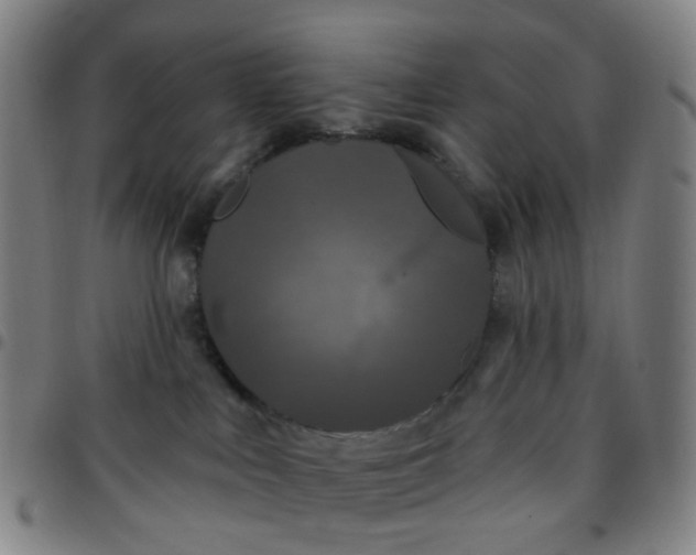 X0000097470043200803071703