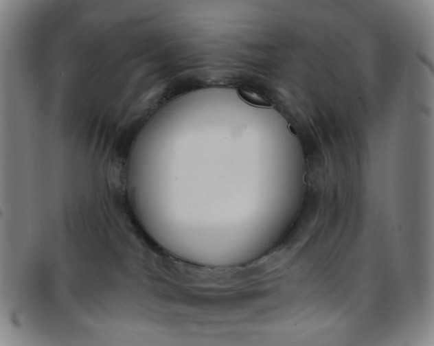 X0000097470044200803071703