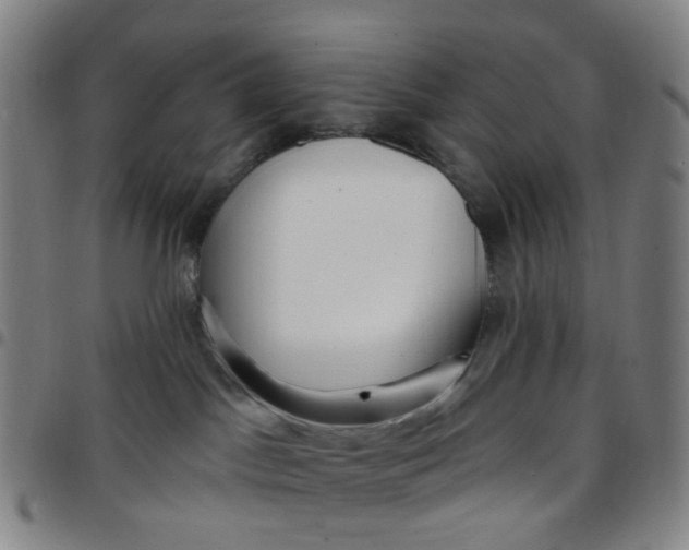 X0000097470045200803071703