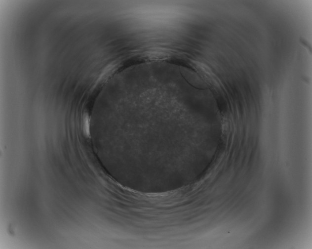 X0000097470046200803071703