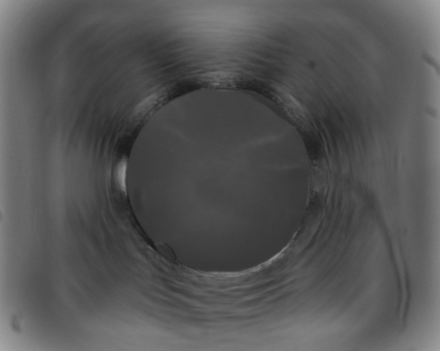 X0000097470047200803071703