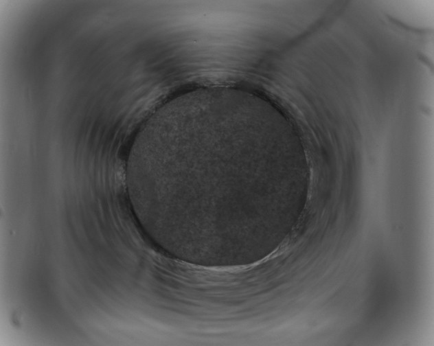 X0000097470048200803071703