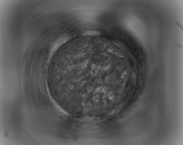 X0000097470049200803071703