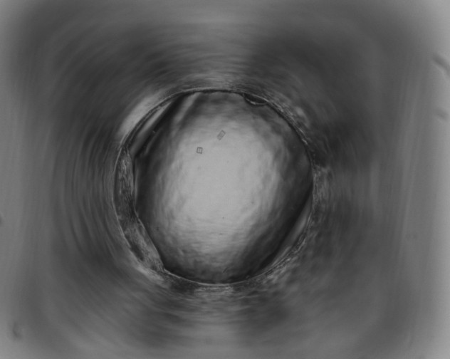 X0000097470051200803071703