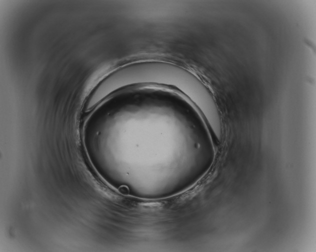 X0000097470053200803071703