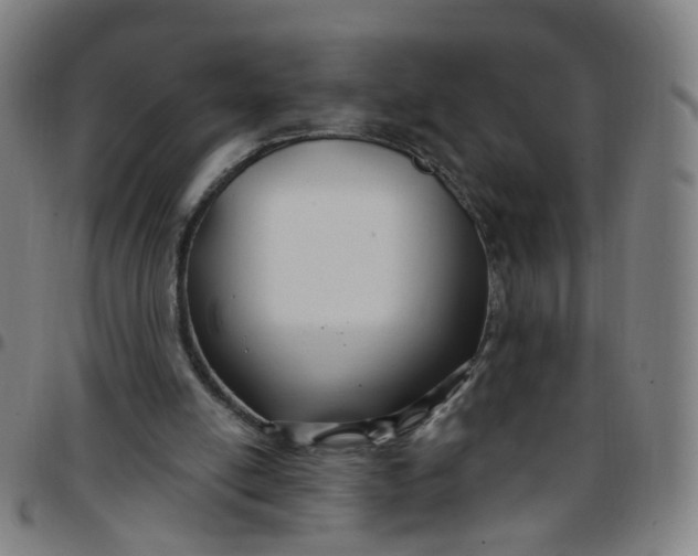 X0000097470054200803071703