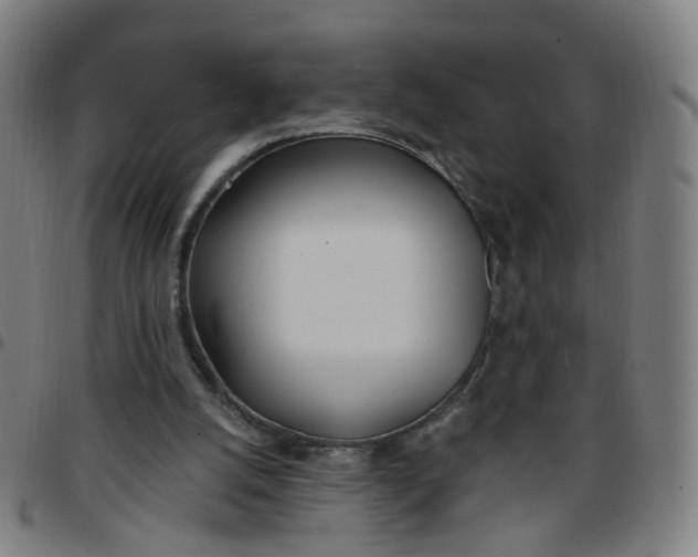 X0000097470056200803071703