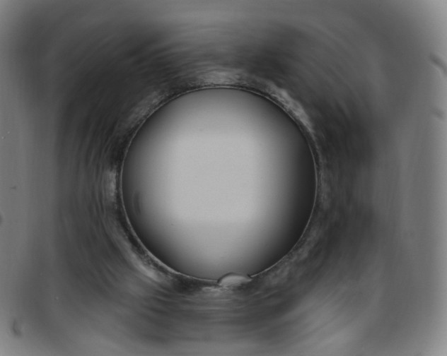 X0000097470057200803071703