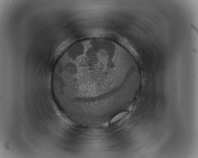 X0000097470058200803071703