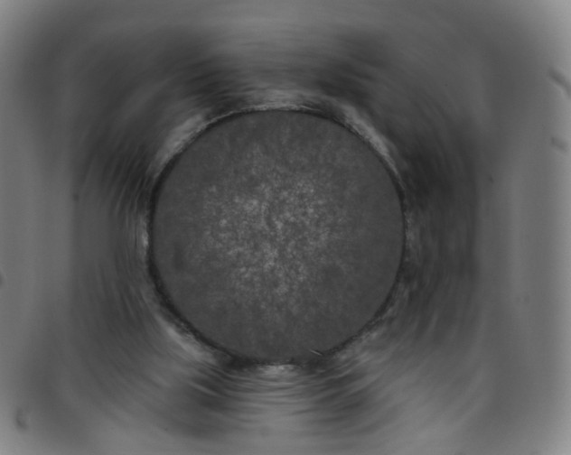X0000097470059200803071703