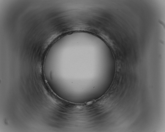 X0000097470060200803071703