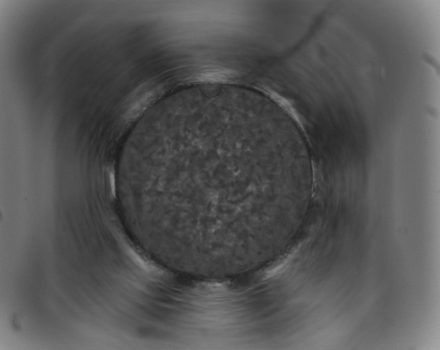 X0000097470061200803071703